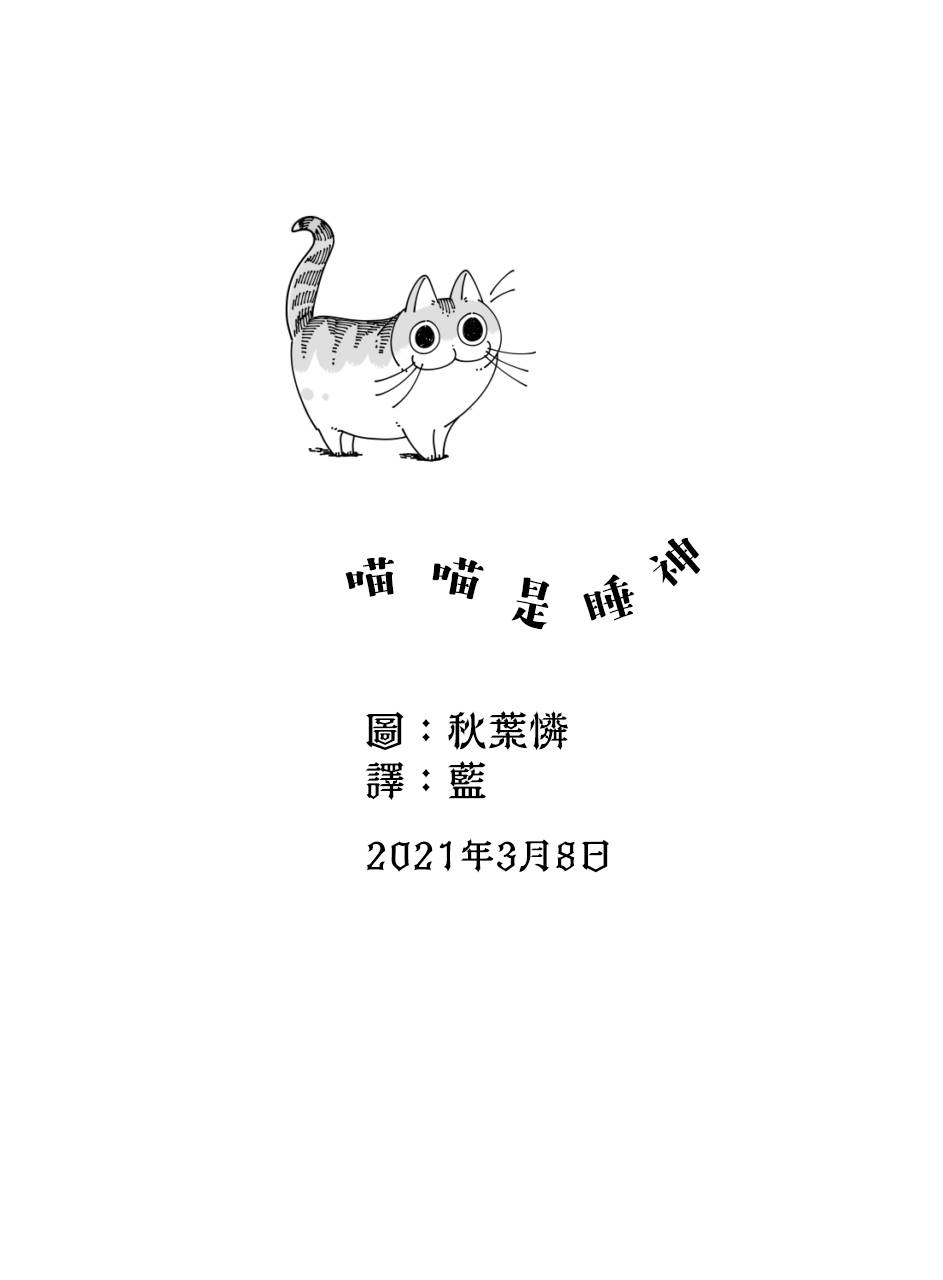 《关于养猫我一直是新手》漫画最新章节第49话免费下拉式在线观看章节第【4】张图片