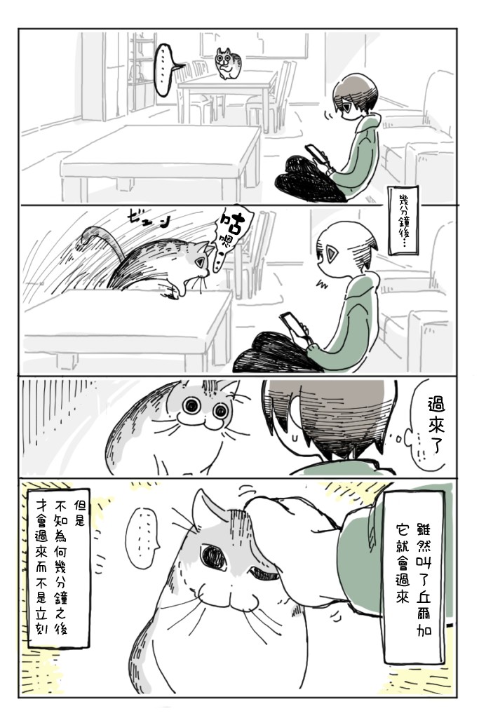 《关于养猫我一直是新手》漫画最新章节第5话免费下拉式在线观看章节第【4】张图片