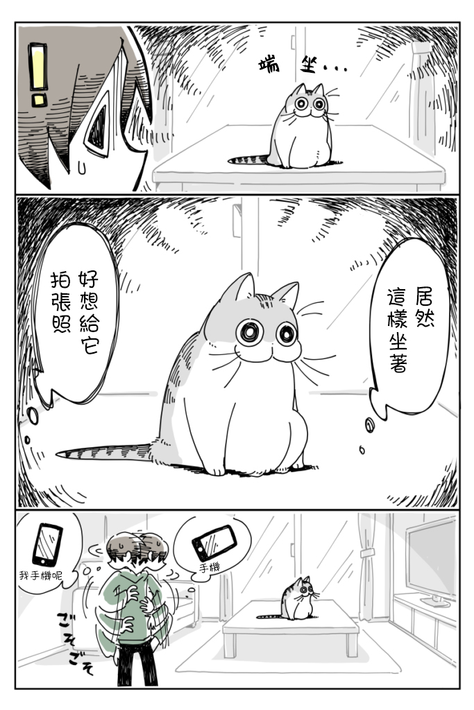《关于养猫我一直是新手》漫画最新章节第7话免费下拉式在线观看章节第【1】张图片