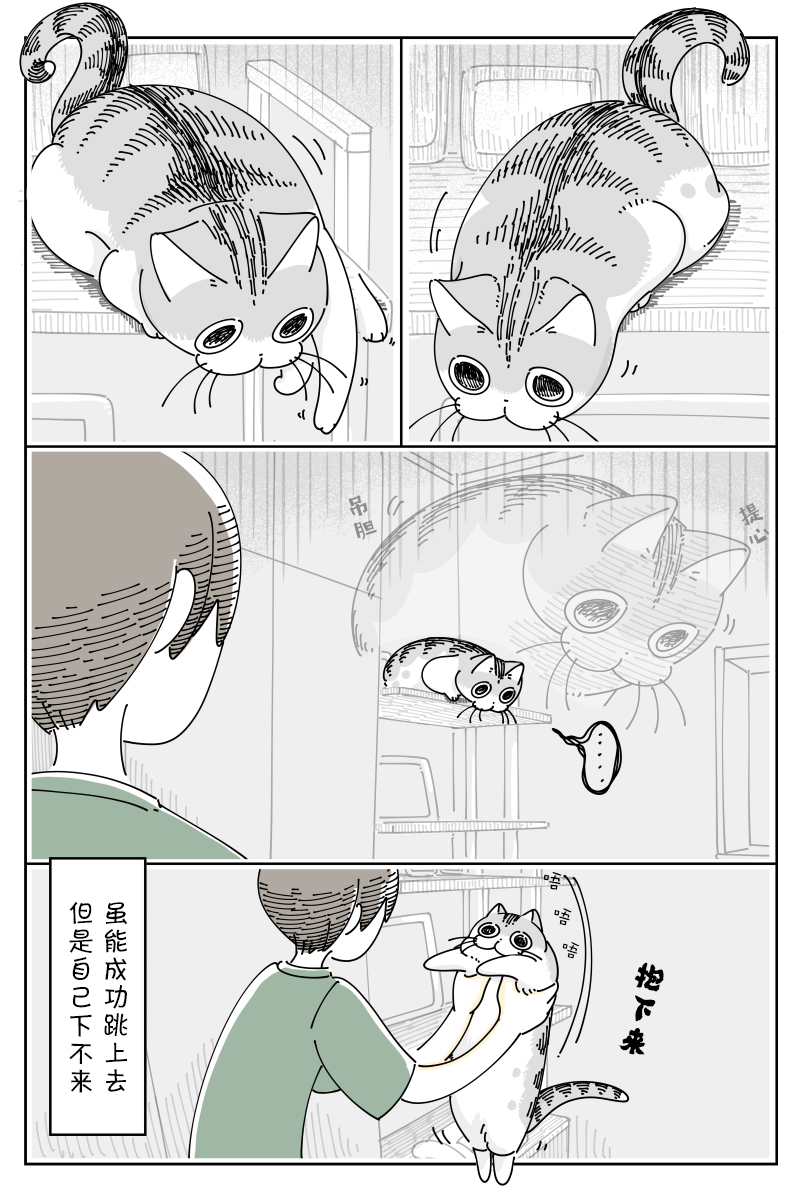 《关于养猫我一直是新手》漫画最新章节第122话免费下拉式在线观看章节第【4】张图片