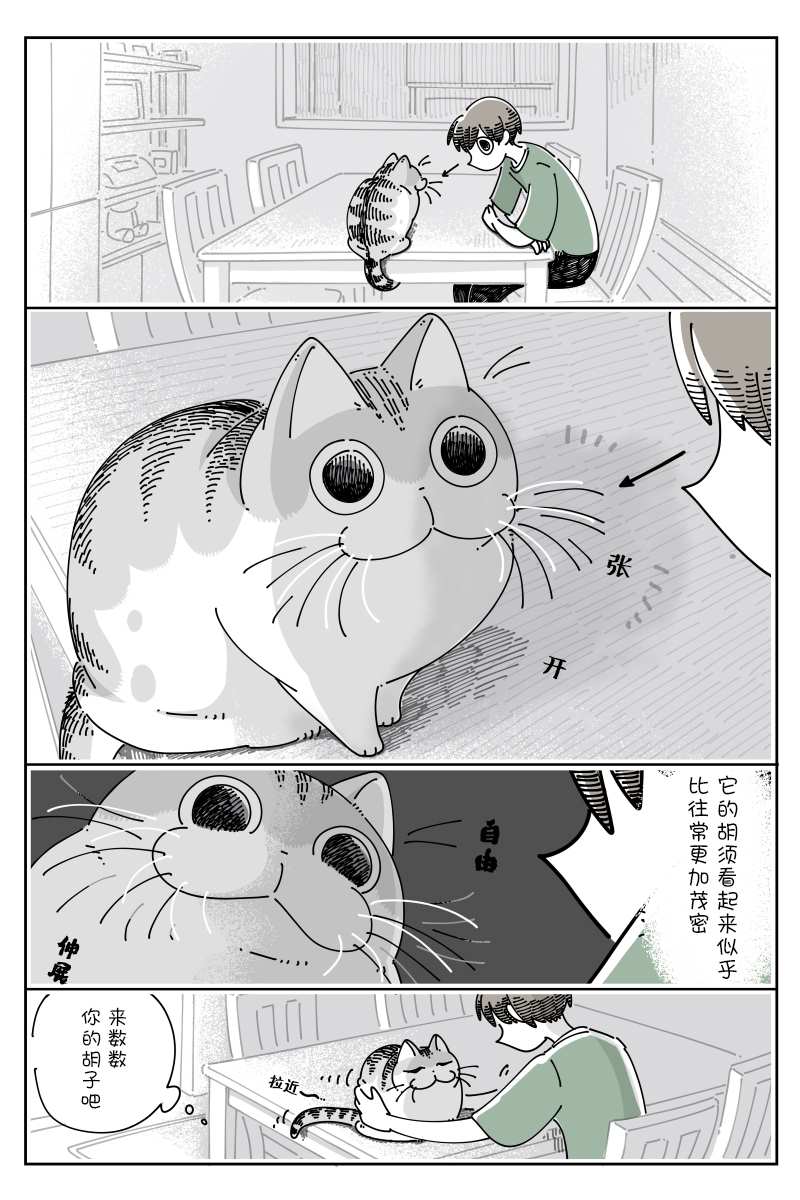《关于养猫我一直是新手》漫画最新章节第84话免费下拉式在线观看章节第【1】张图片