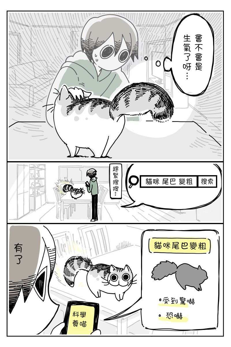 《关于养猫我一直是新手》漫画最新章节第6话免费下拉式在线观看章节第【2】张图片