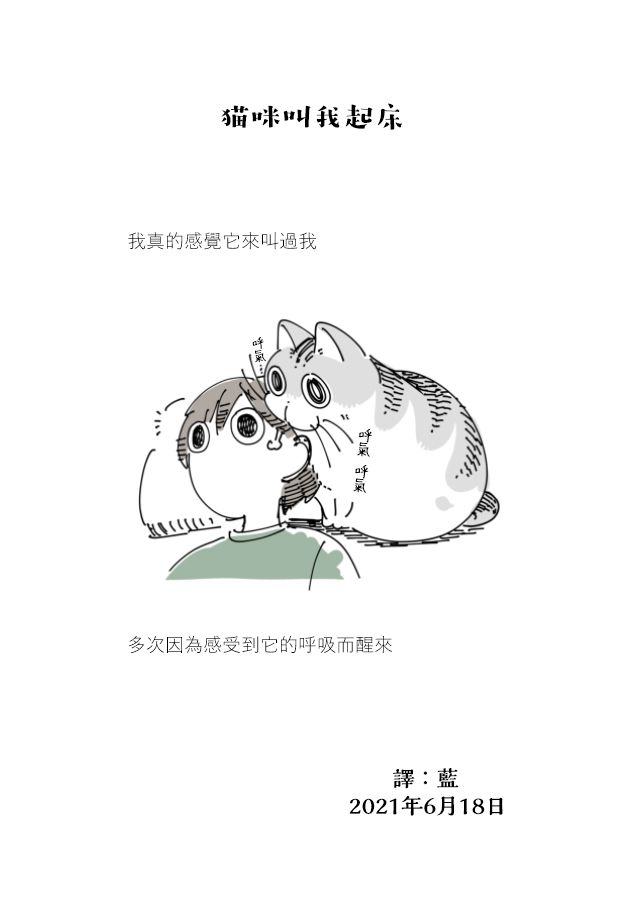 《关于养猫我一直是新手》漫画最新章节第69话免费下拉式在线观看章节第【4】张图片