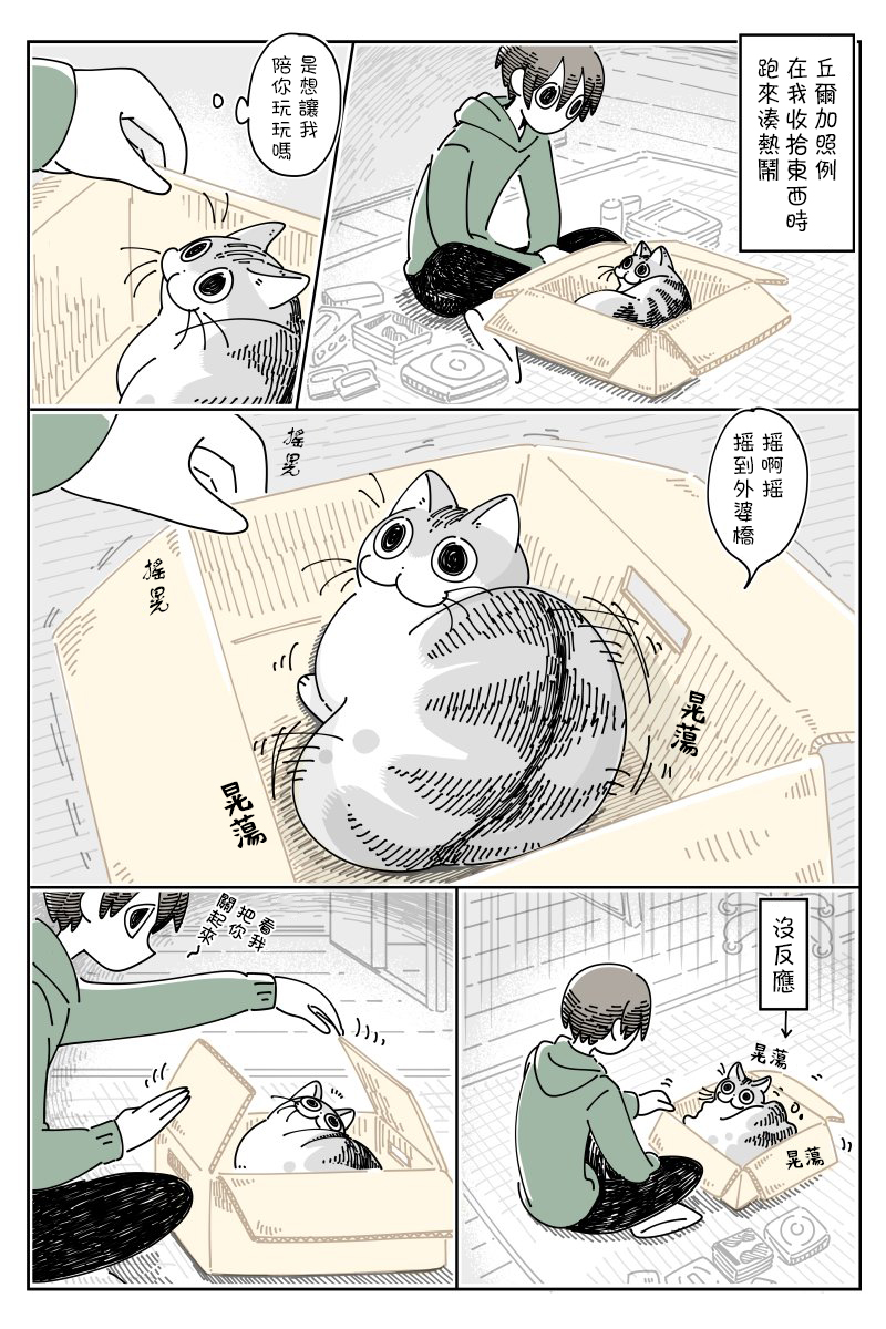 《关于养猫我一直是新手》漫画最新章节第53话免费下拉式在线观看章节第【1】张图片