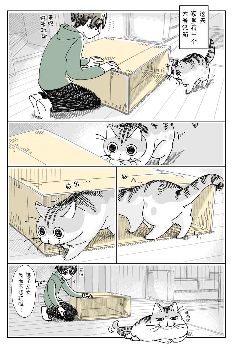 《关于养猫我一直是新手》漫画最新章节第137话免费下拉式在线观看章节第【1】张图片