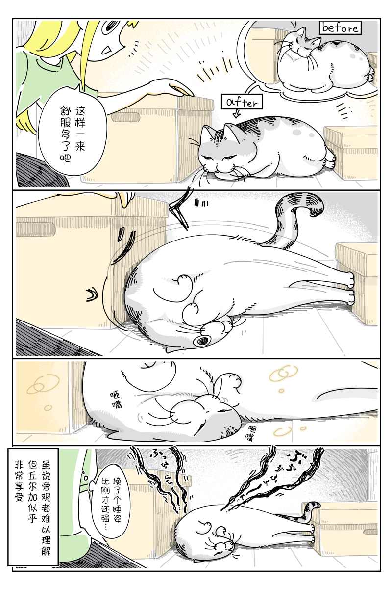 《关于养猫我一直是新手》漫画最新章节第127话免费下拉式在线观看章节第【2】张图片