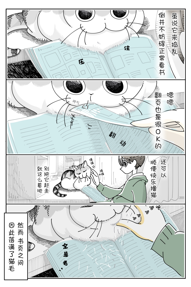 《关于养猫我一直是新手》漫画最新章节第101话免费下拉式在线观看章节第【2】张图片