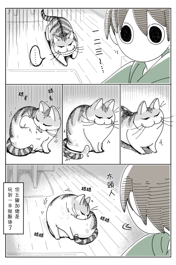 《关于养猫我一直是新手》漫画最新章节第38话免费下拉式在线观看章节第【4】张图片