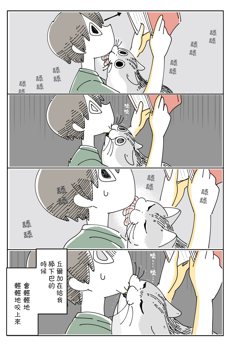 《关于养猫我一直是新手》漫画最新章节第75话免费下拉式在线观看章节第【2】张图片