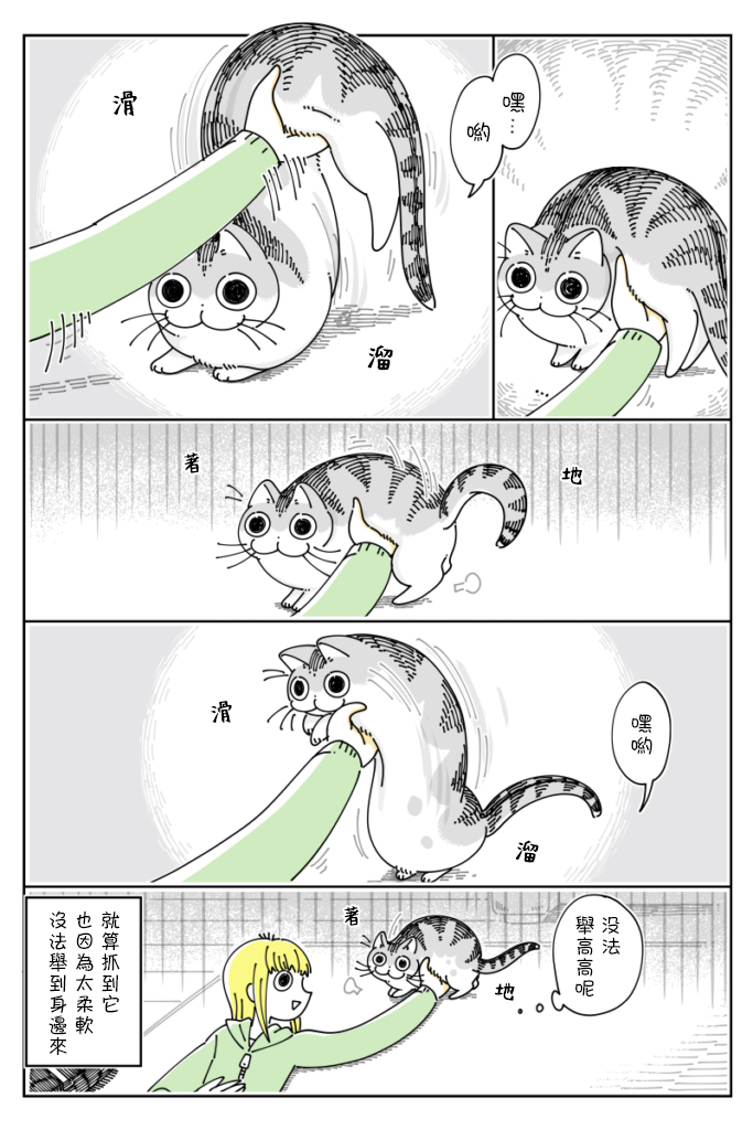 《关于养猫我一直是新手》漫画最新章节第61话免费下拉式在线观看章节第【3】张图片