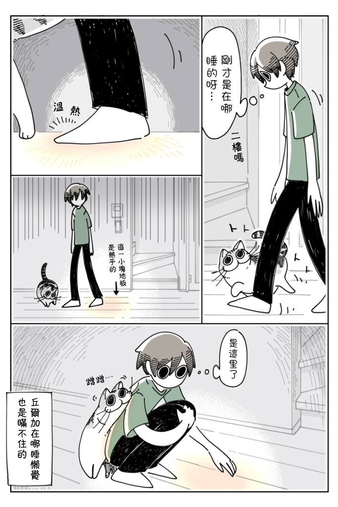 《关于养猫我一直是新手》漫画最新章节第20话免费下拉式在线观看章节第【3】张图片