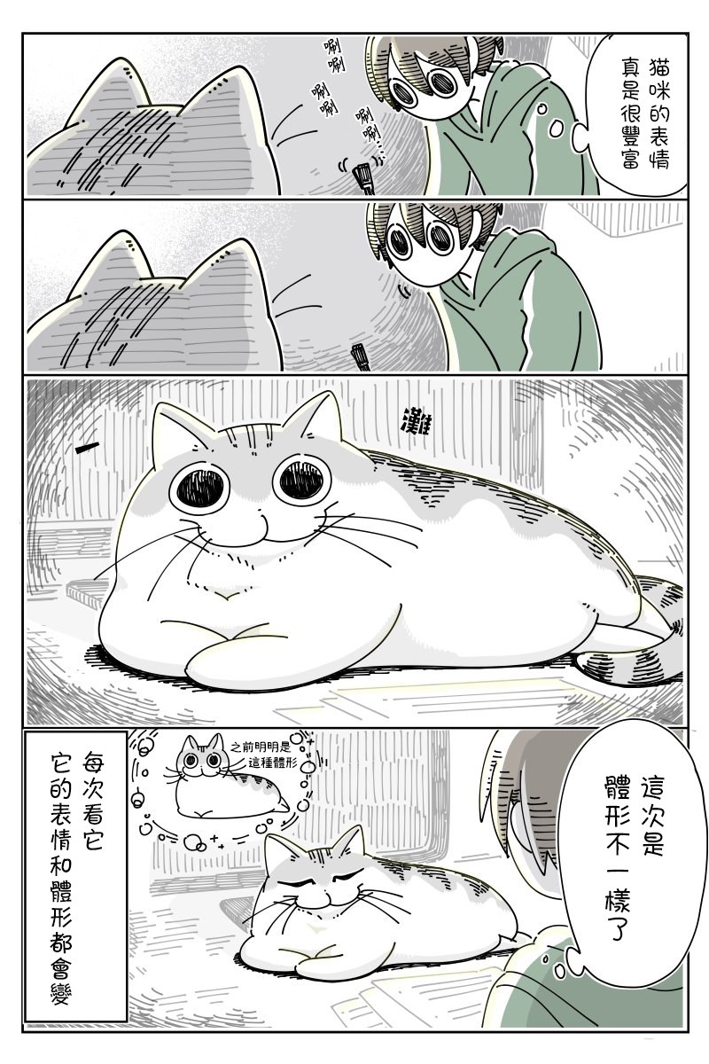 《关于养猫我一直是新手》漫画最新章节第46话免费下拉式在线观看章节第【3】张图片