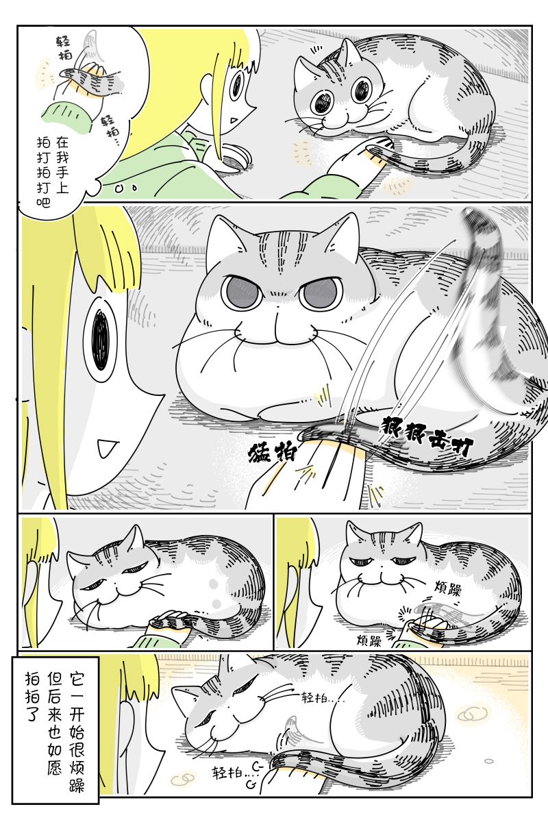 《关于养猫我一直是新手》漫画最新章节第106话免费下拉式在线观看章节第【2】张图片