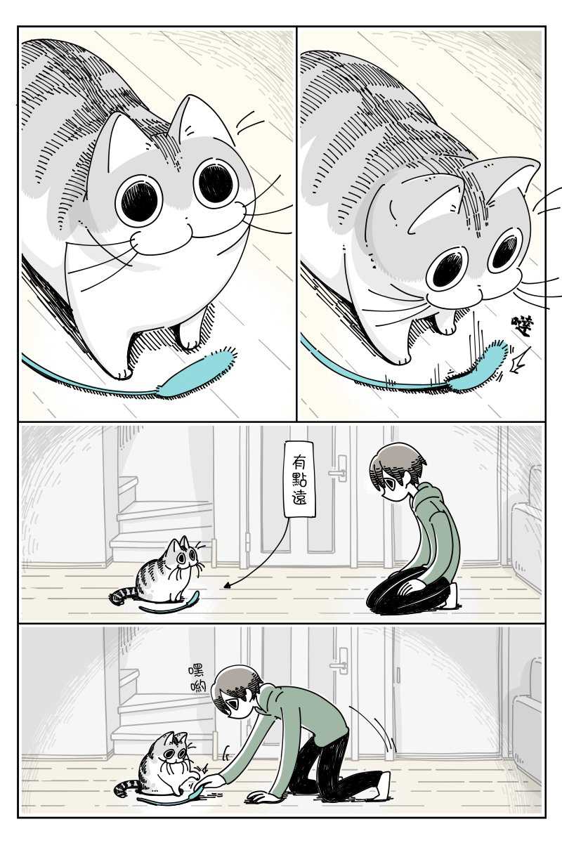 《关于养猫我一直是新手》漫画最新章节第42话免费下拉式在线观看章节第【2】张图片