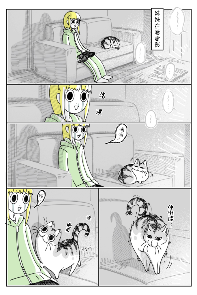 《关于养猫我一直是新手》漫画最新章节第55话免费下拉式在线观看章节第【1】张图片