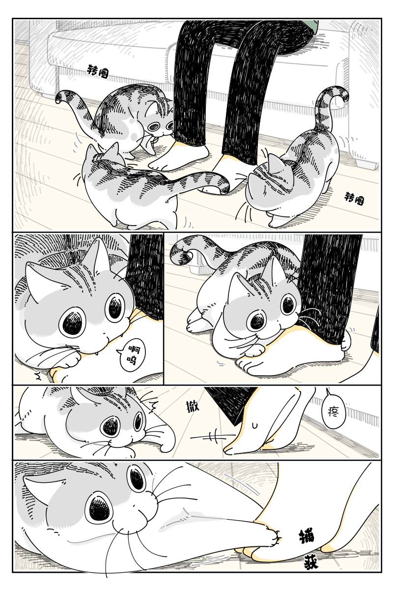 《关于养猫我一直是新手》漫画最新章节第129话免费下拉式在线观看章节第【1】张图片