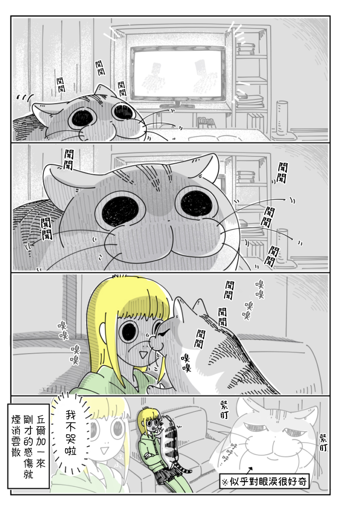 《关于养猫我一直是新手》漫画最新章节第55话免费下拉式在线观看章节第【2】张图片