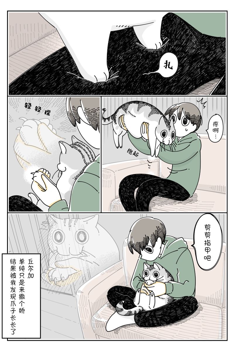 《关于养猫我一直是新手》漫画最新章节第99话免费下拉式在线观看章节第【3】张图片