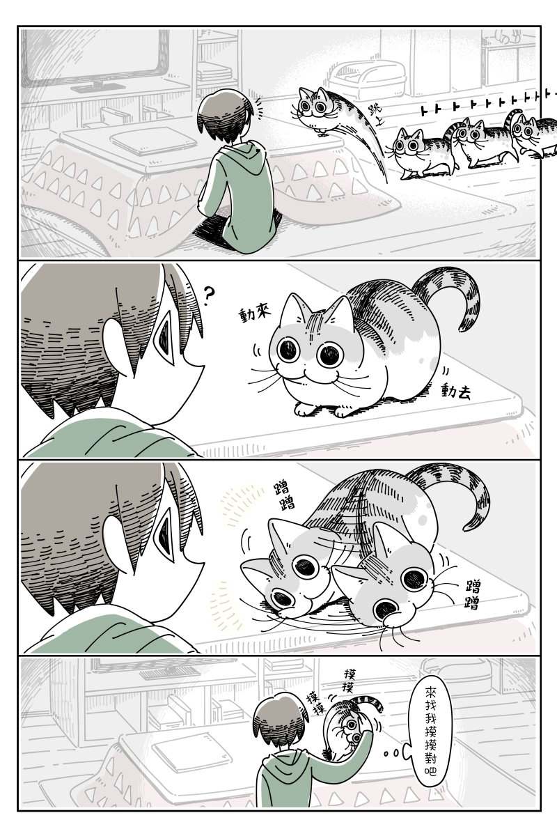 《关于养猫我一直是新手》漫画最新章节第48话免费下拉式在线观看章节第【1】张图片