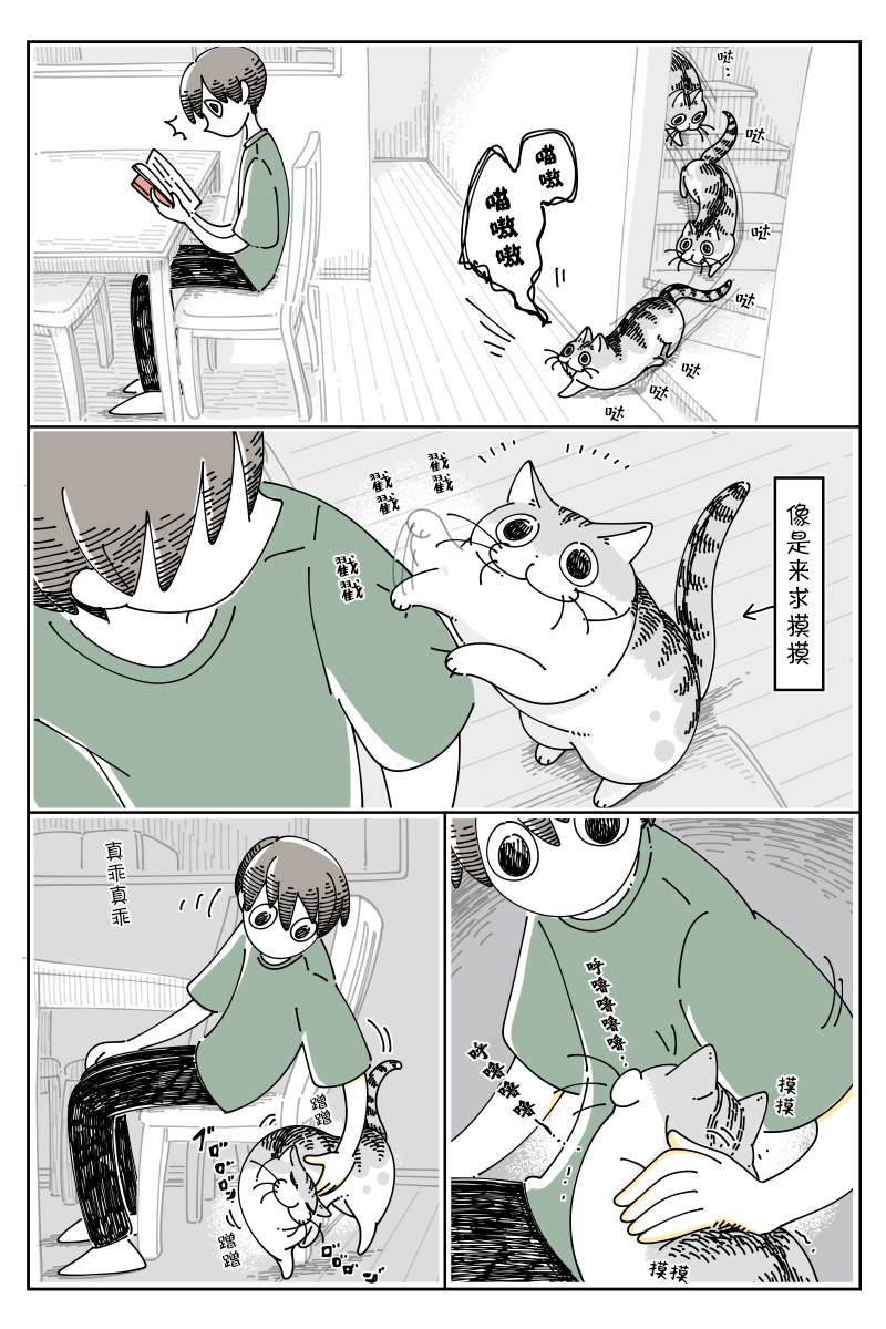 《关于养猫我一直是新手》漫画最新章节第126话免费下拉式在线观看章节第【1】张图片