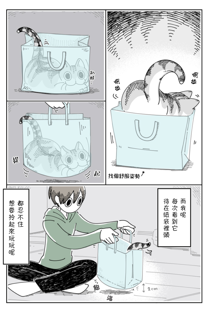《关于养猫我一直是新手》漫画最新章节第67话免费下拉式在线观看章节第【3】张图片
