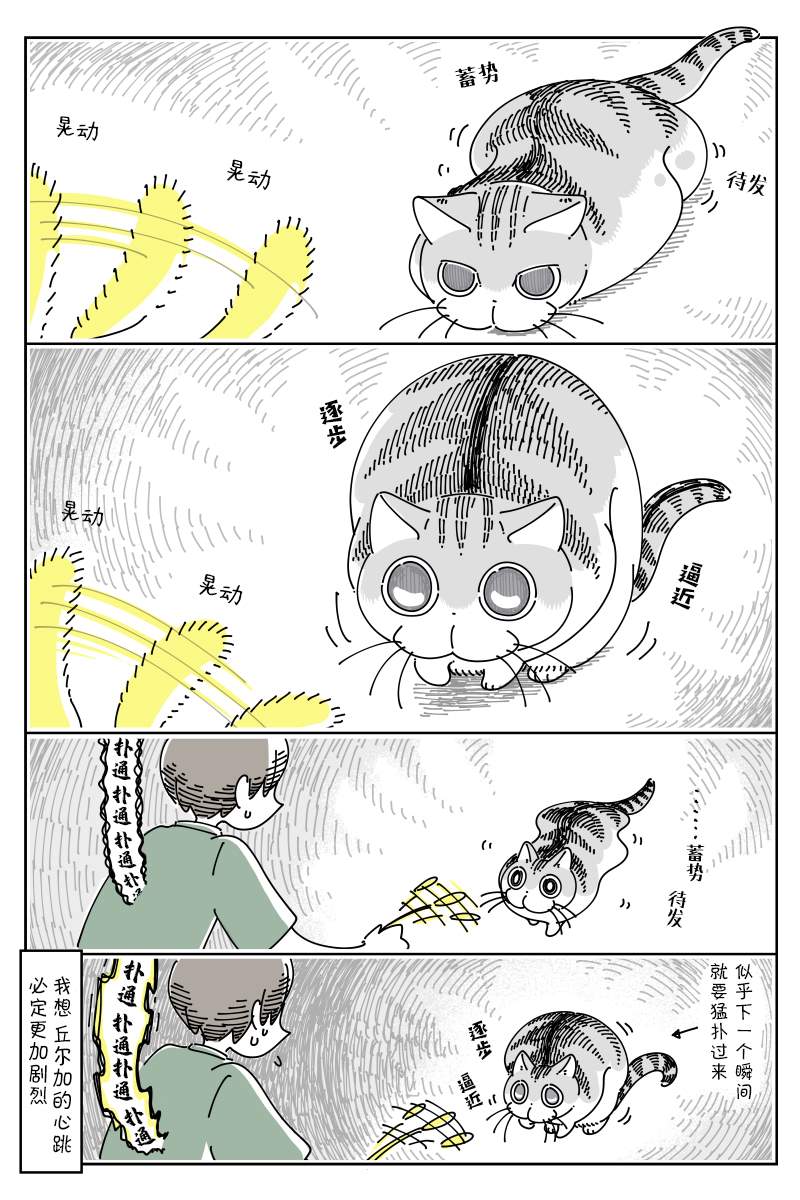 《关于养猫我一直是新手》漫画最新章节第77话免费下拉式在线观看章节第【2】张图片