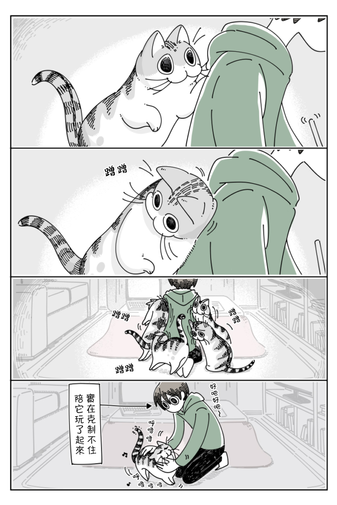 《关于养猫我一直是新手》漫画最新章节第54话免费下拉式在线观看章节第【3】张图片