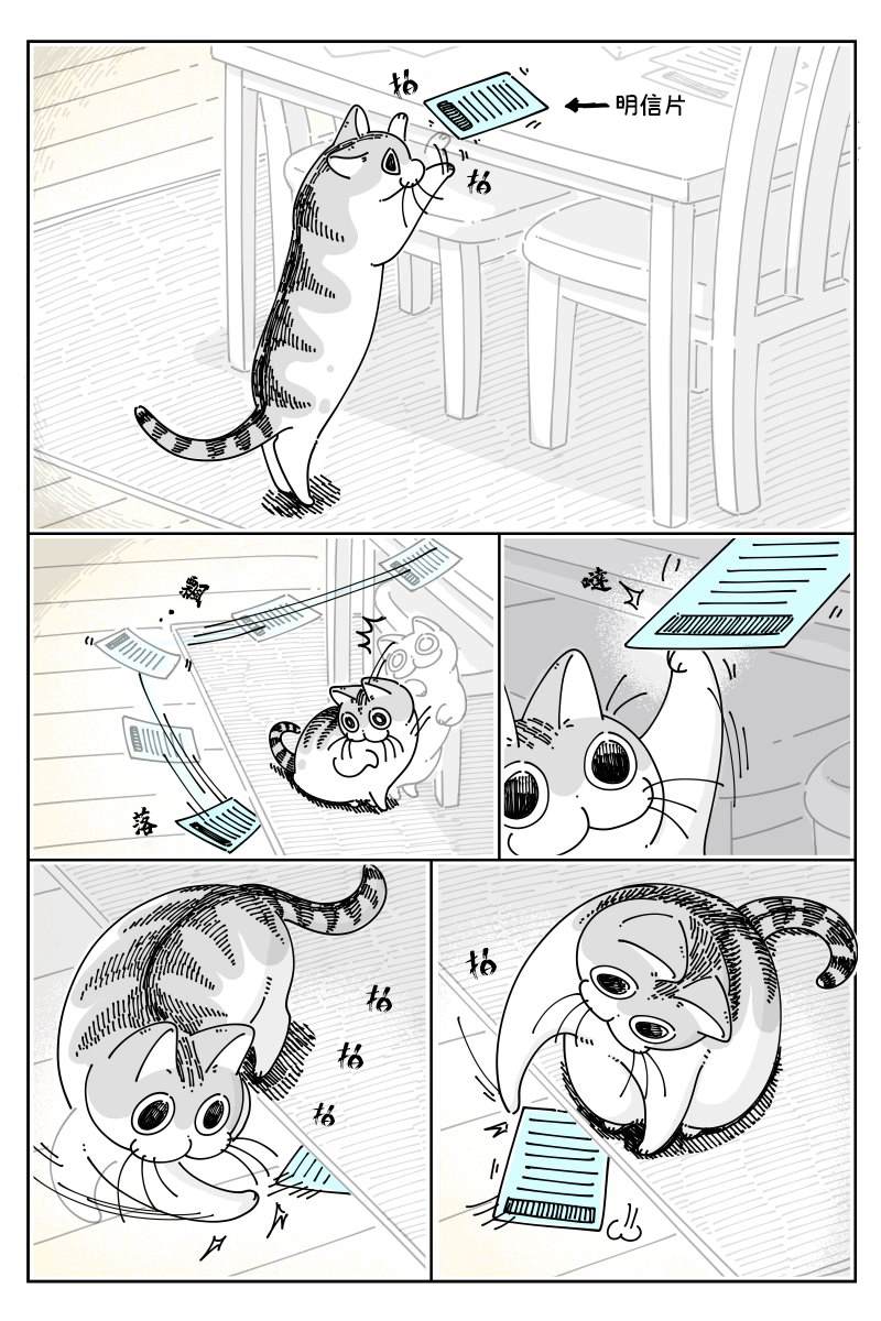 《关于养猫我一直是新手》漫画最新章节第51话免费下拉式在线观看章节第【1】张图片