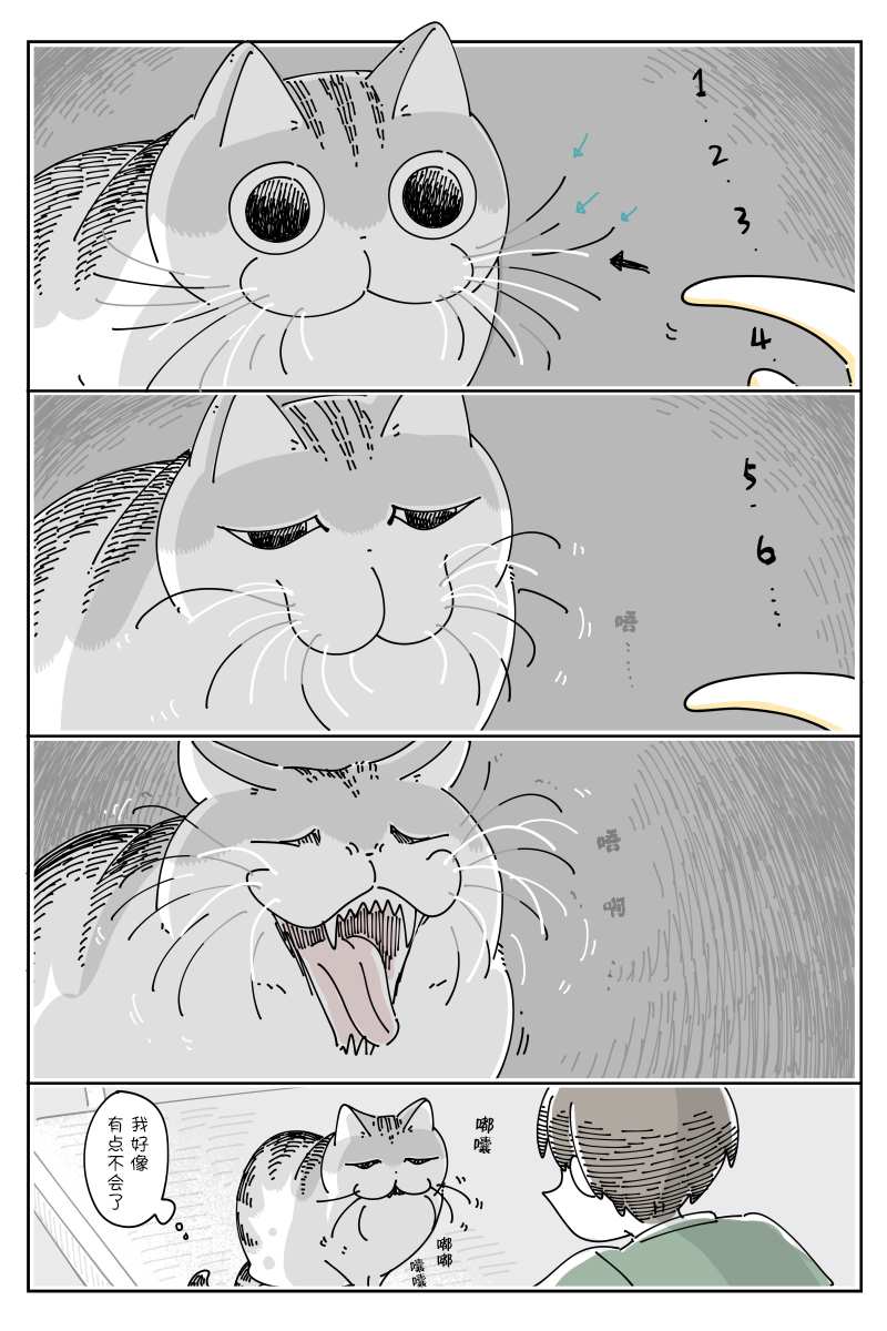 《关于养猫我一直是新手》漫画最新章节第84话免费下拉式在线观看章节第【2】张图片