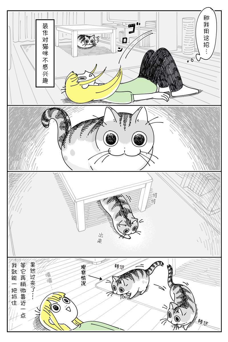 《关于养猫我一直是新手》漫画最新章节第132话免费下拉式在线观看章节第【3】张图片