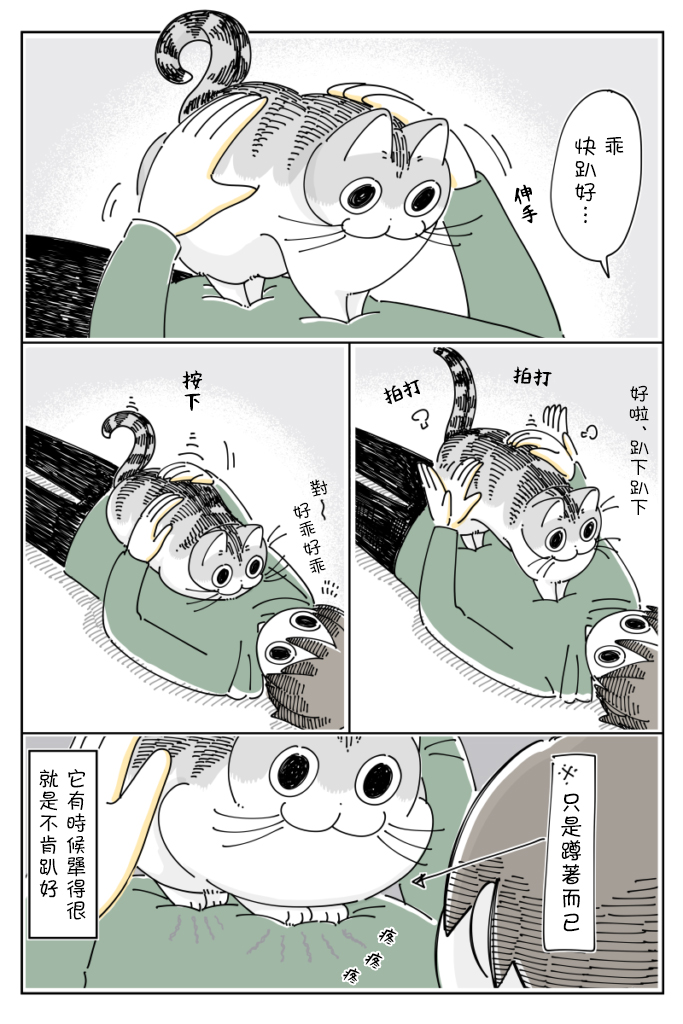 《关于养猫我一直是新手》漫画最新章节第63话免费下拉式在线观看章节第【4】张图片