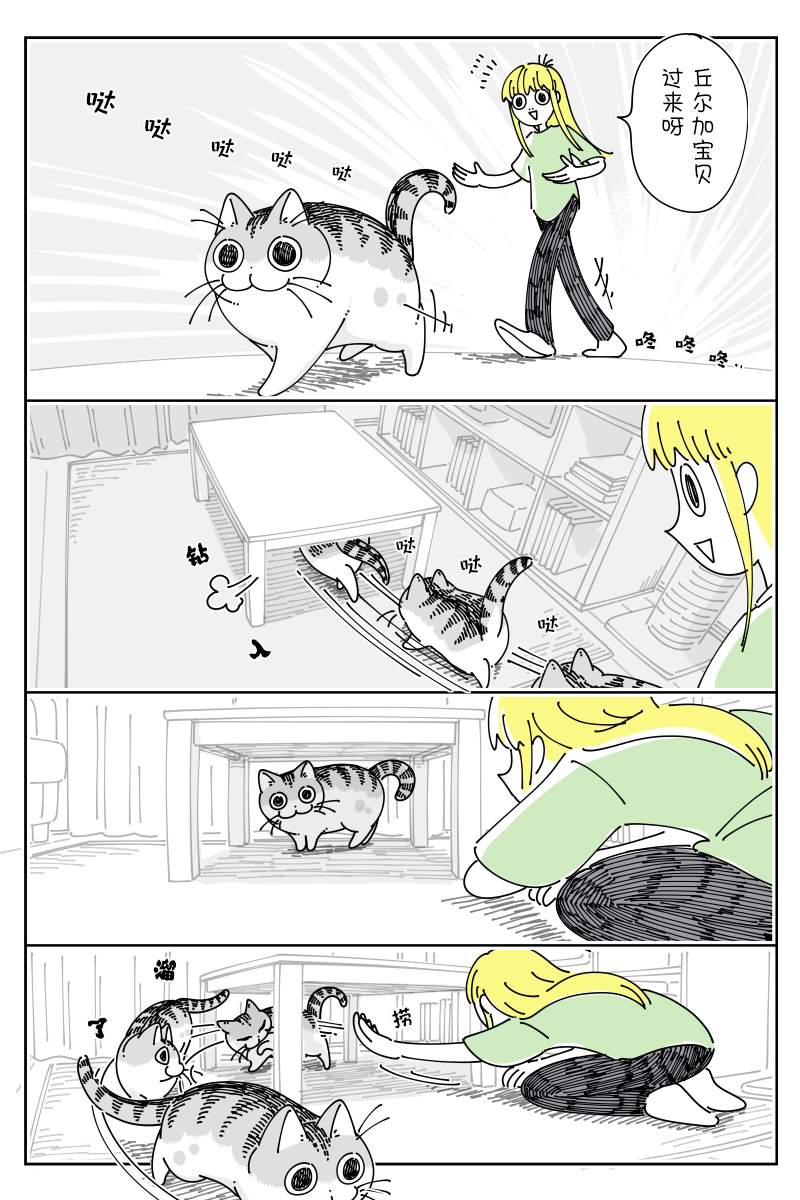 《关于养猫我一直是新手》漫画最新章节第132话免费下拉式在线观看章节第【1】张图片