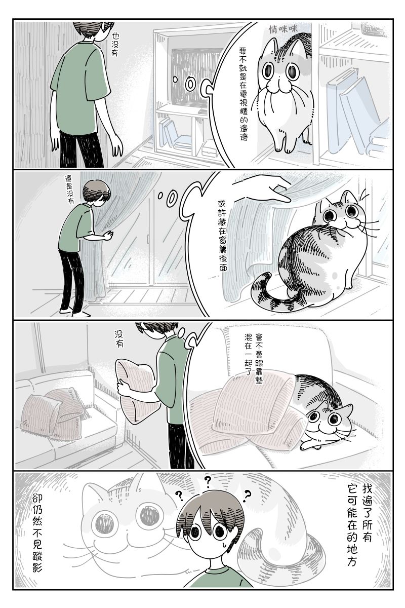 《关于养猫我一直是新手》漫画最新章节第73话免费下拉式在线观看章节第【2】张图片