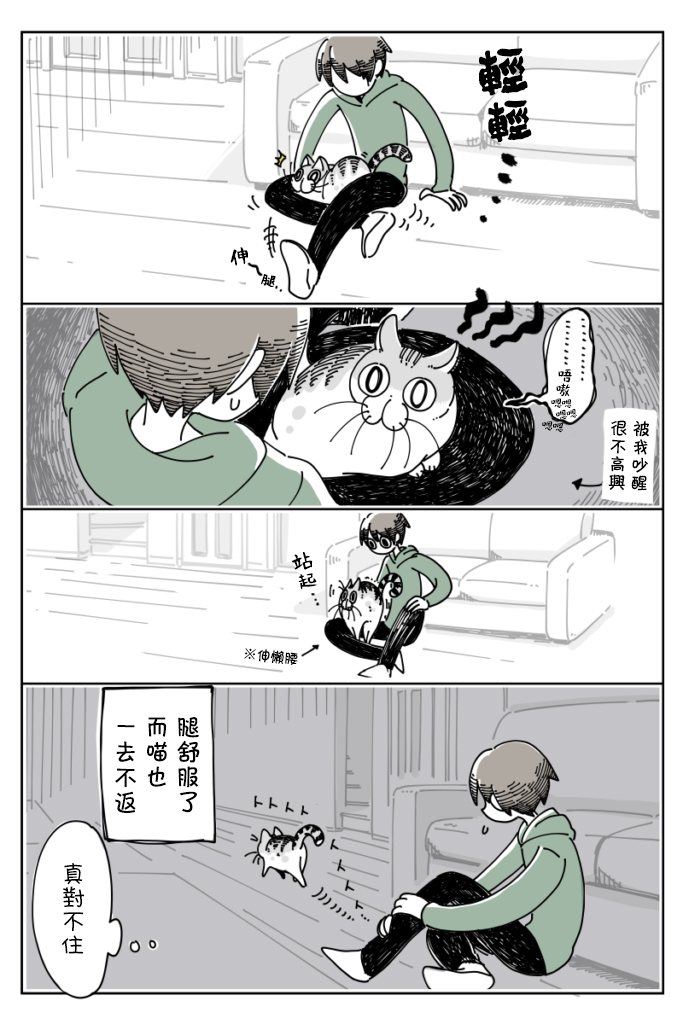 《关于养猫我一直是新手》漫画最新章节第14话免费下拉式在线观看章节第【4】张图片