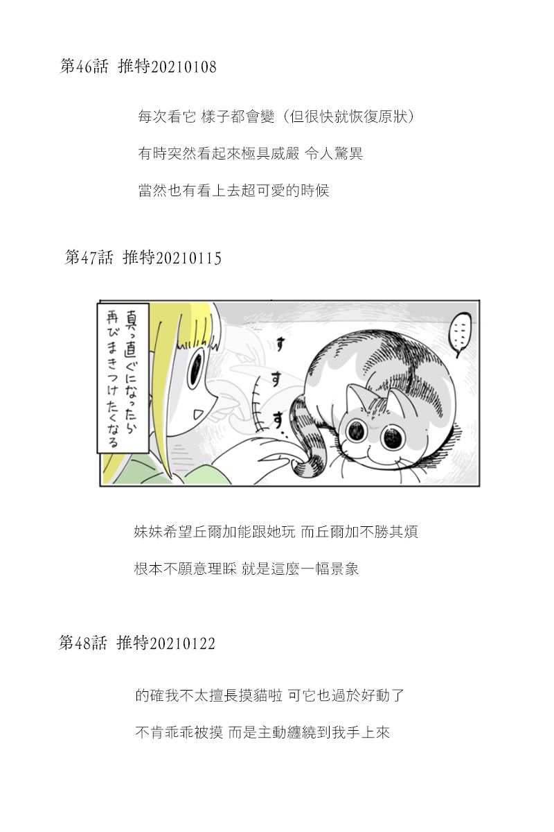 《关于养猫我一直是新手》漫画最新章节42-53后记免费下拉式在线观看章节第【3】张图片
