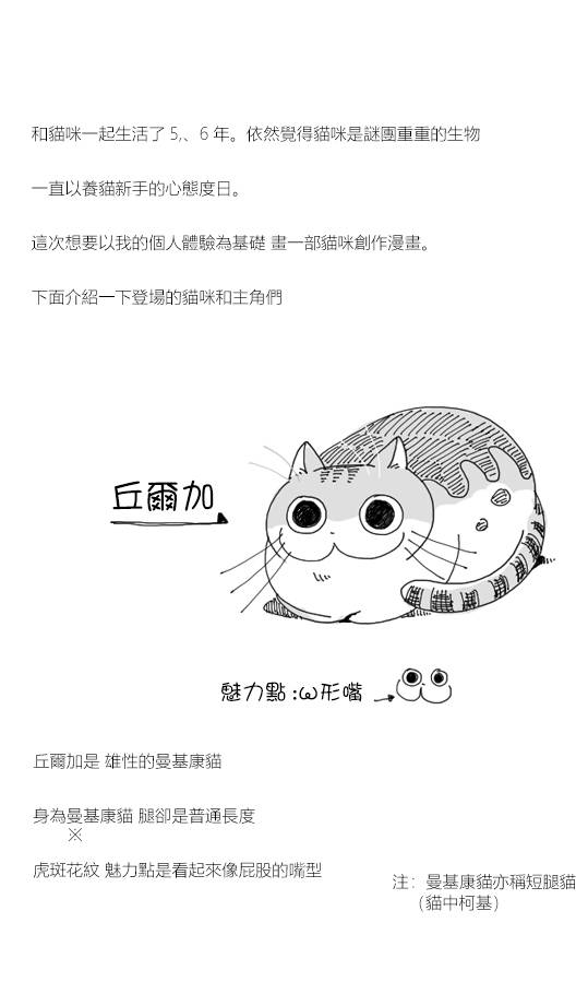 《关于养猫我一直是新手》漫画最新章节第1话免费下拉式在线观看章节第【2】张图片