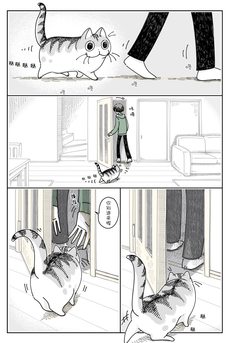 《关于养猫我一直是新手》漫画最新章节第88话免费下拉式在线观看章节第【1】张图片