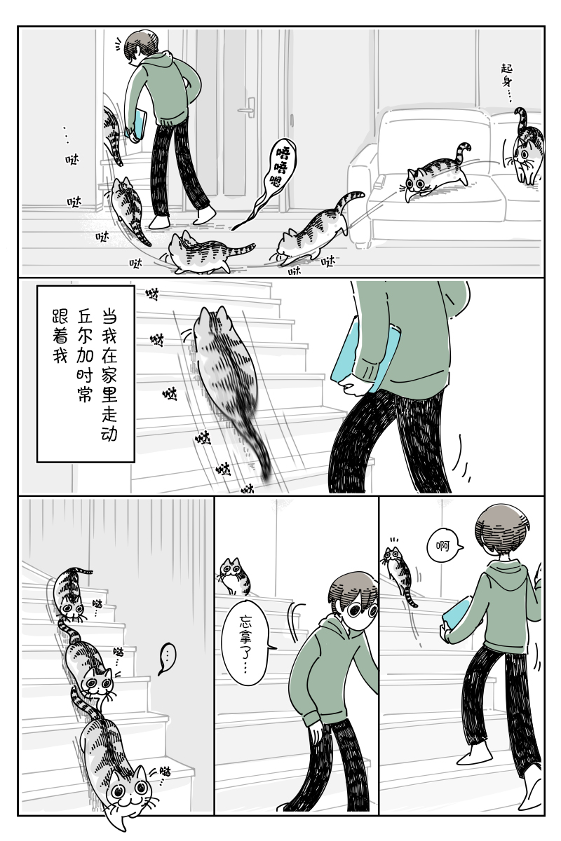 《关于养猫我一直是新手》漫画最新章节第114话免费下拉式在线观看章节第【2】张图片