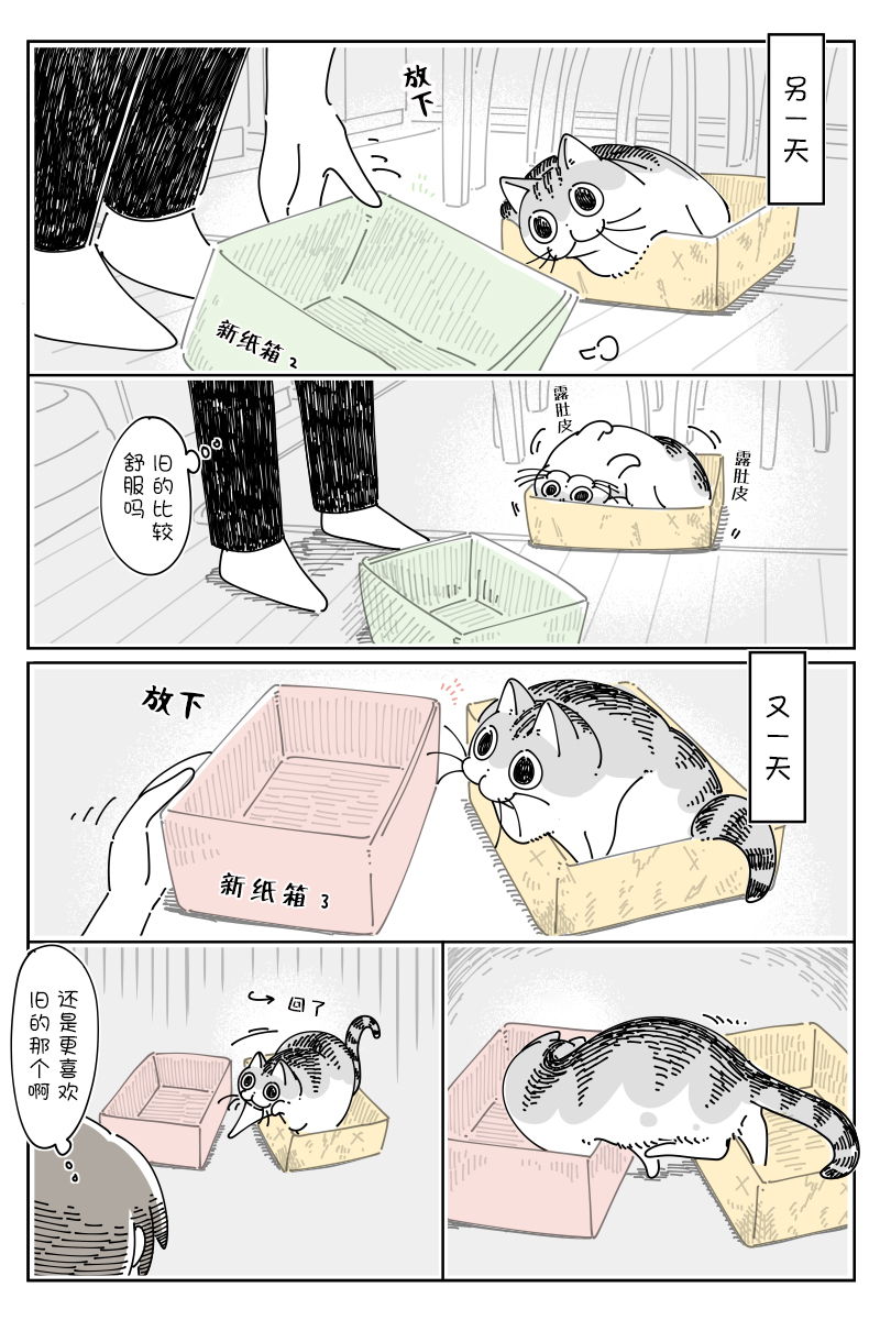 《关于养猫我一直是新手》漫画最新章节第119话免费下拉式在线观看章节第【2】张图片