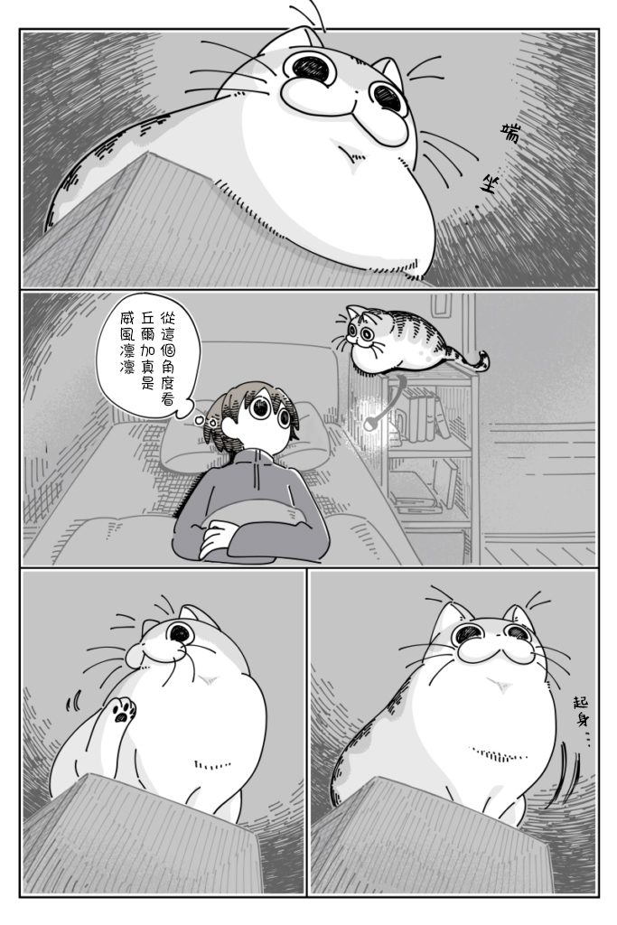 《关于养猫我一直是新手》漫画最新章节第56话免费下拉式在线观看章节第【1】张图片