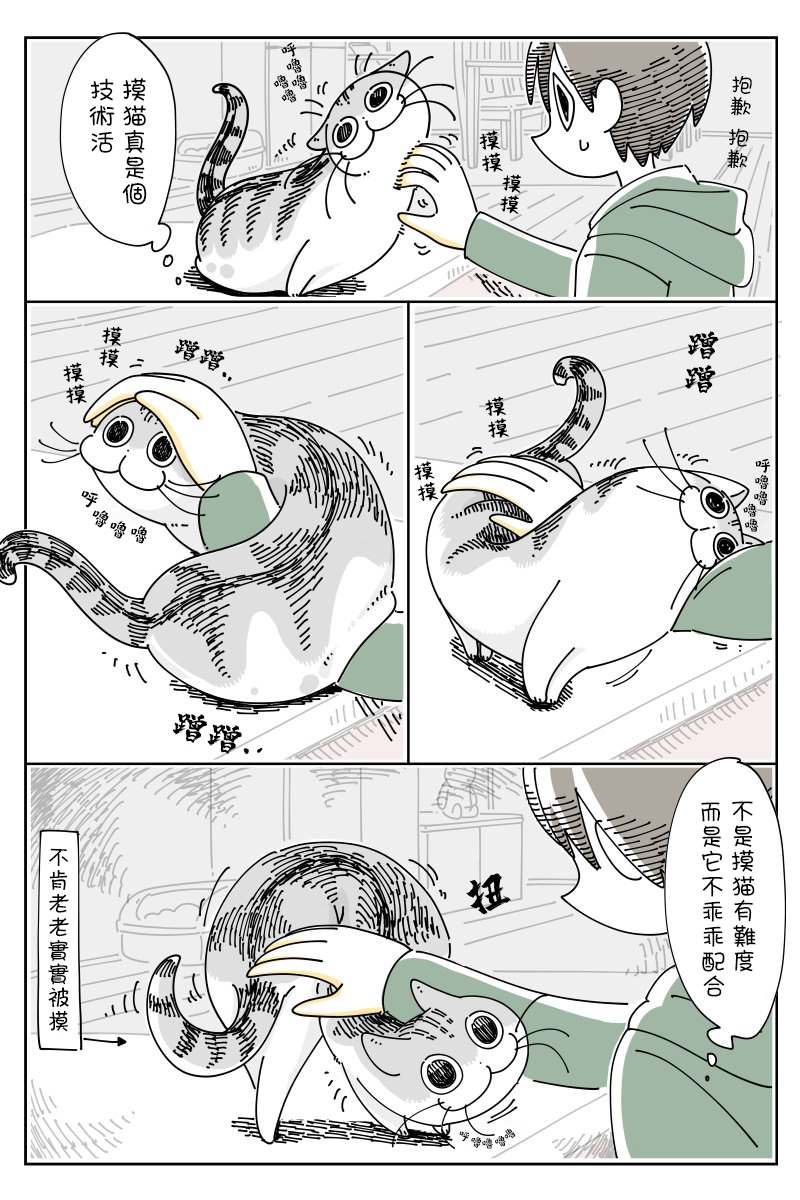 《关于养猫我一直是新手》漫画最新章节第48话免费下拉式在线观看章节第【3】张图片