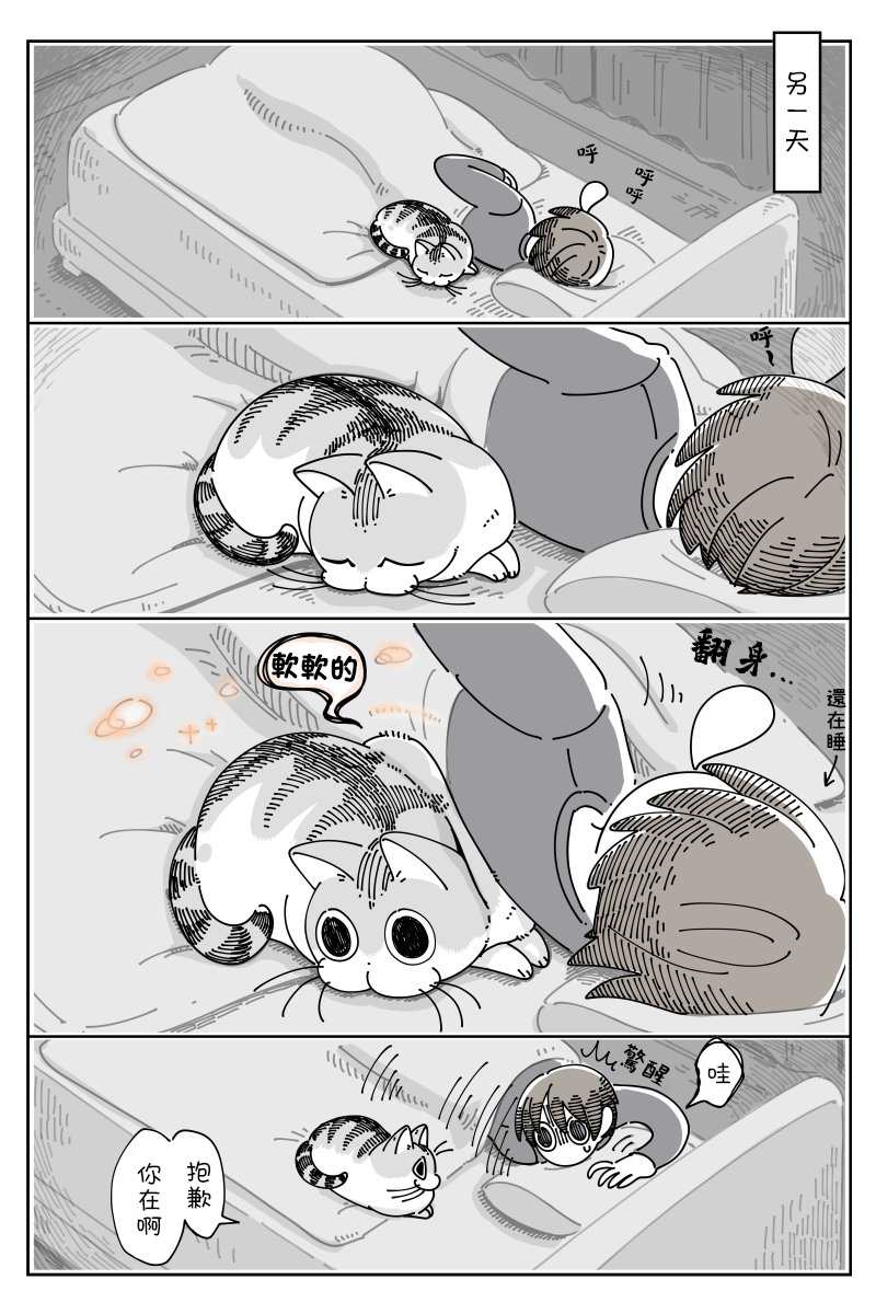 《关于养猫我一直是新手》漫画最新章节第43话免费下拉式在线观看章节第【2】张图片