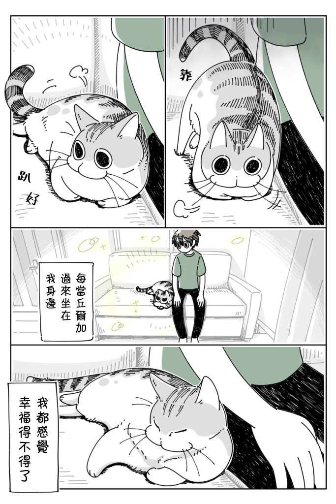 《关于养猫我一直是新手》漫画最新章节第25话免费下拉式在线观看章节第【2】张图片