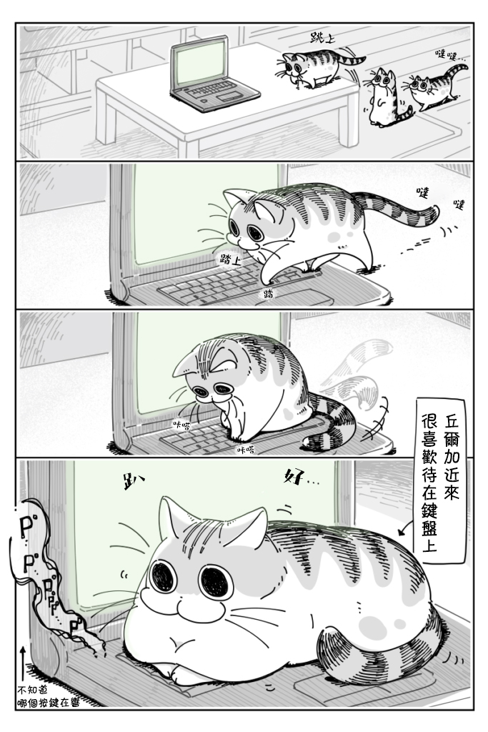 《关于养猫我一直是新手》漫画最新章节第23话免费下拉式在线观看章节第【1】张图片