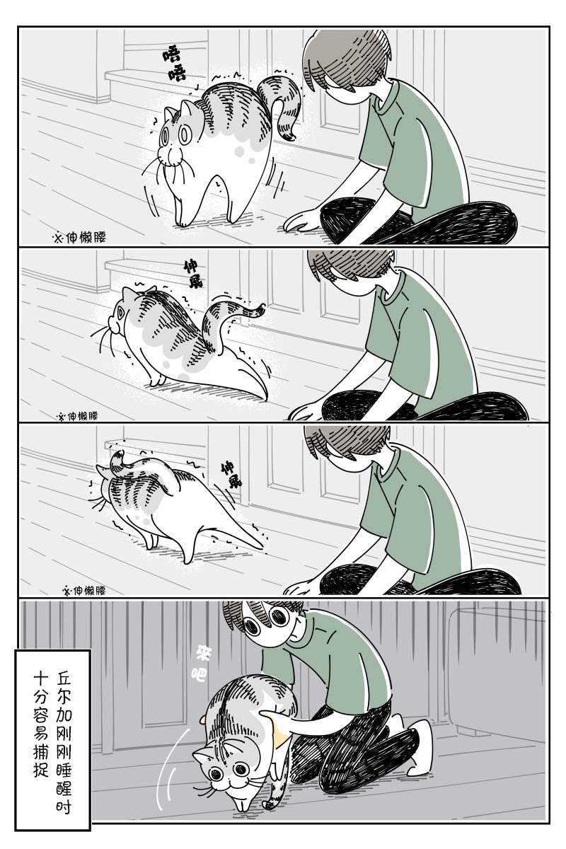 《关于养猫我一直是新手》漫画最新章节第79话免费下拉式在线观看章节第【3】张图片