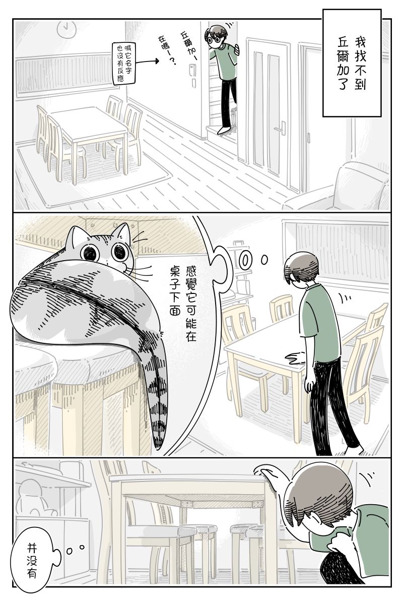 《关于养猫我一直是新手》漫画最新章节第73话免费下拉式在线观看章节第【1】张图片