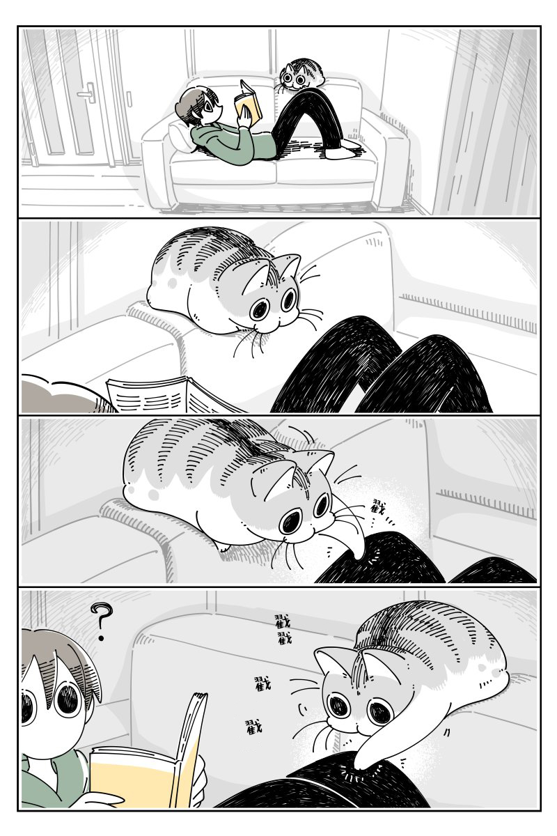 《关于养猫我一直是新手》漫画最新章节第44话免费下拉式在线观看章节第【1】张图片