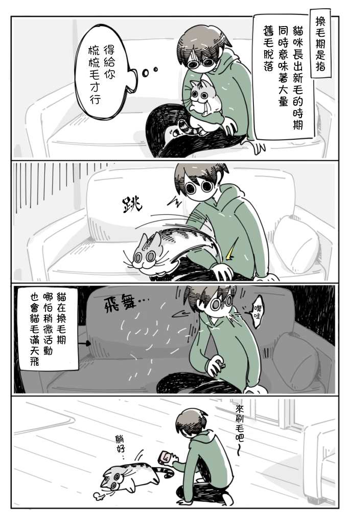 《关于养猫我一直是新手》漫画最新章节第11话免费下拉式在线观看章节第【3】张图片