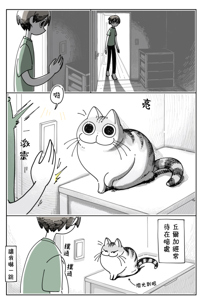《关于养猫我一直是新手》漫画最新章节第24话免费下拉式在线观看章节第【1】张图片