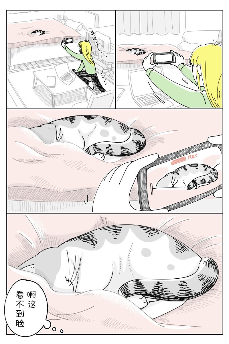 《关于养猫我一直是新手》漫画最新章节第152话免费下拉式在线观看章节第【2】张图片